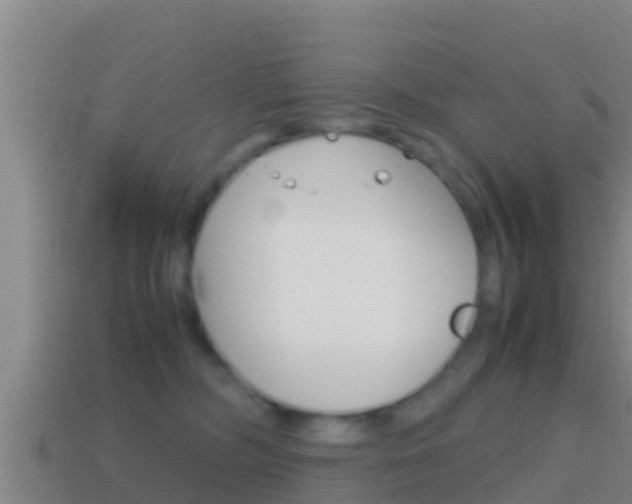 X0000114620326200910201007