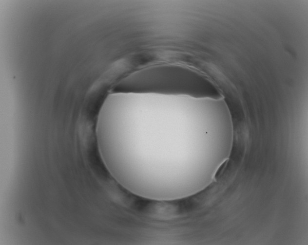 X0000114620327200910201007