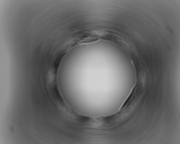 X0000114620328200910201007
