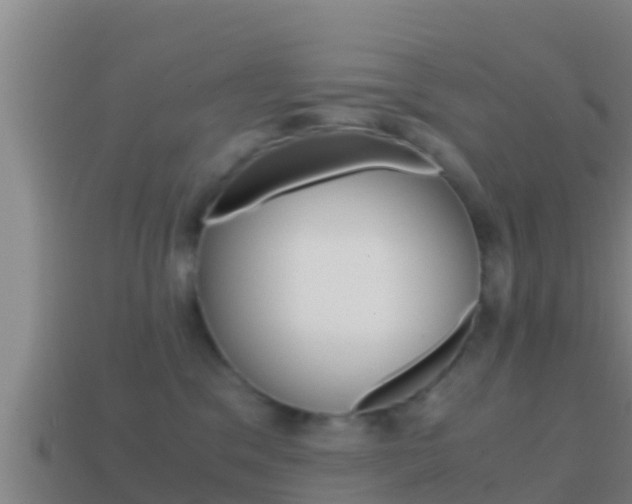 X0000114620329200910201007