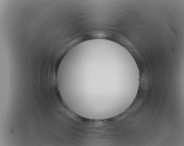 X0000114620330200910201007