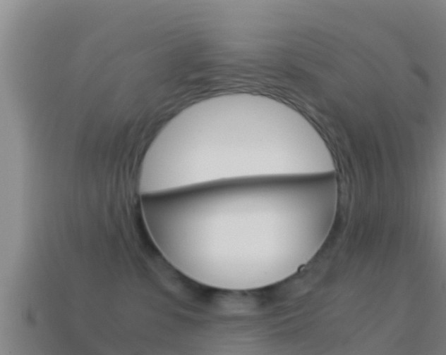 X0000114620331200910201007