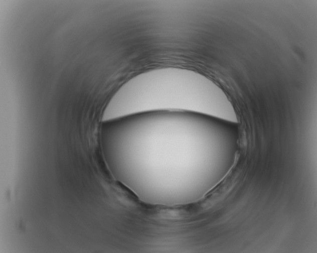 X0000114620332200910201007