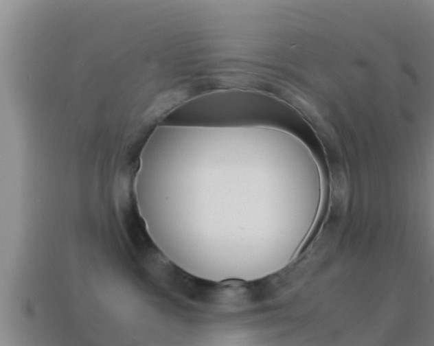X0000114620333200910201007
