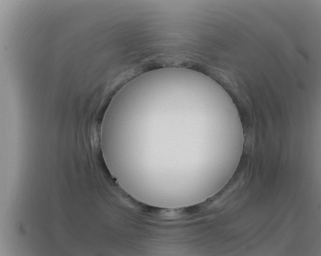 X0000114620335200910201006