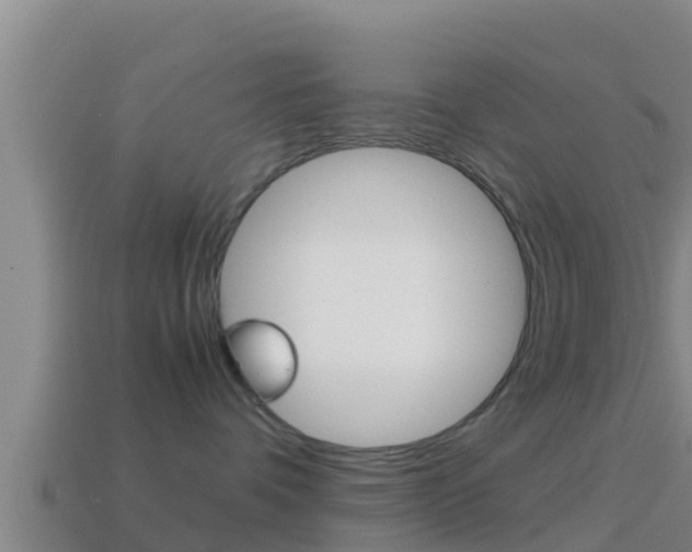 X0000114620336200910201006