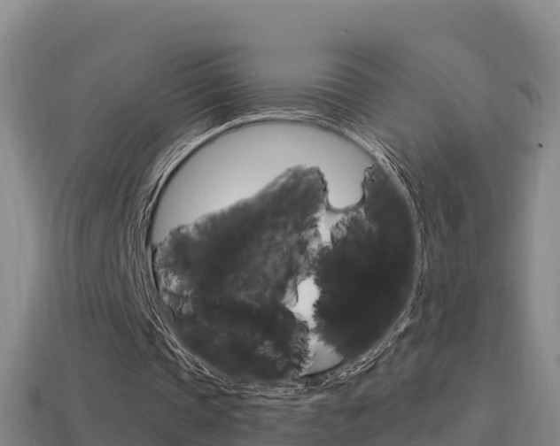 X0000114620337200910201006