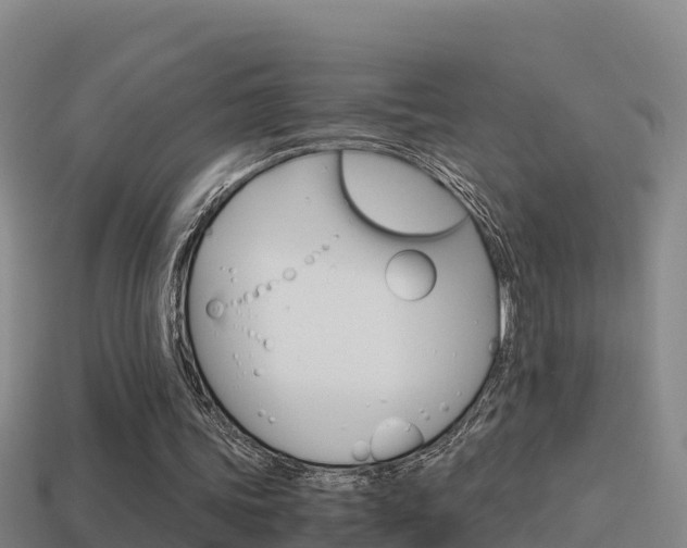 X0000114620339200910201006