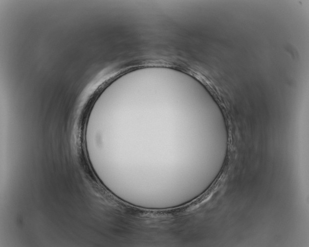 X0000114620343200910201006