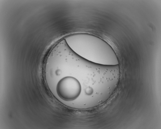 X0000114620346200910201006