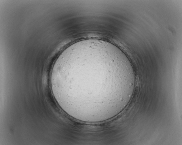 X0000114620347200910201006