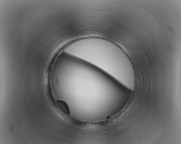 X0000114620350200910201006