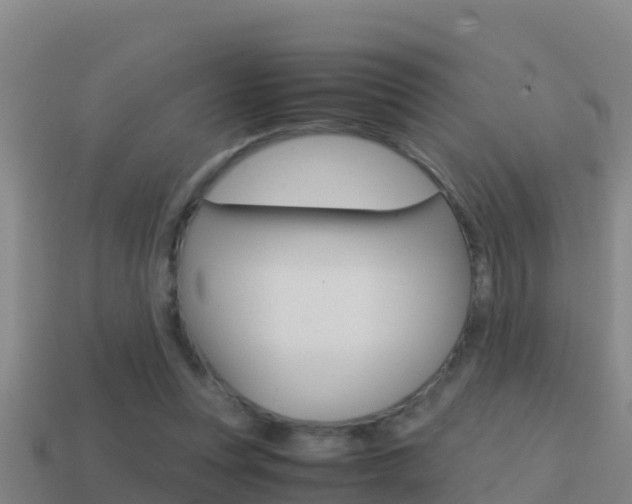 X0000114620351200910201006