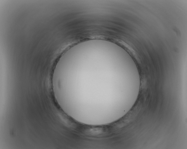 X0000114620353200910201006