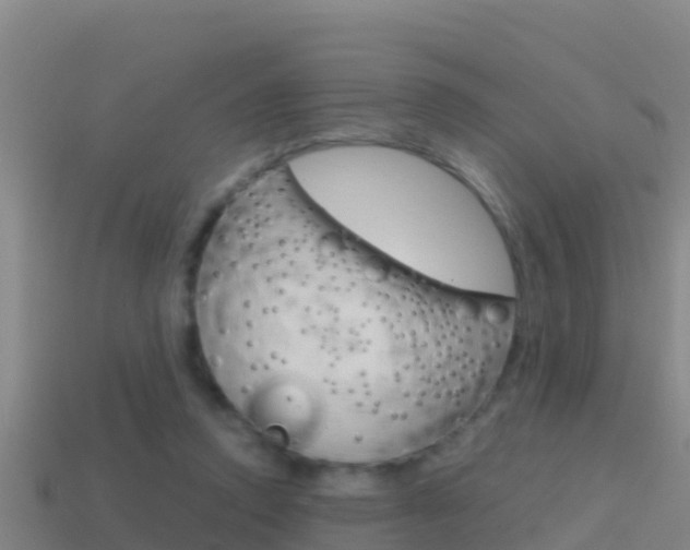 X0000114620354200910201006