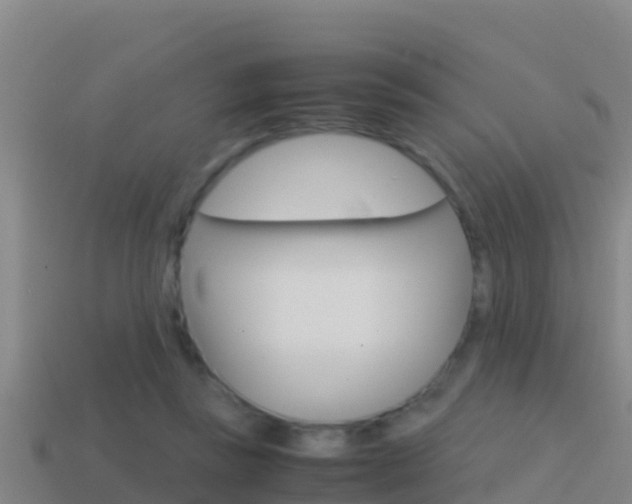 X0000114620355200910201006
