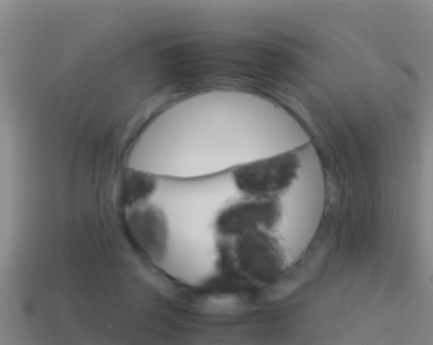 X0000114620357200910201006