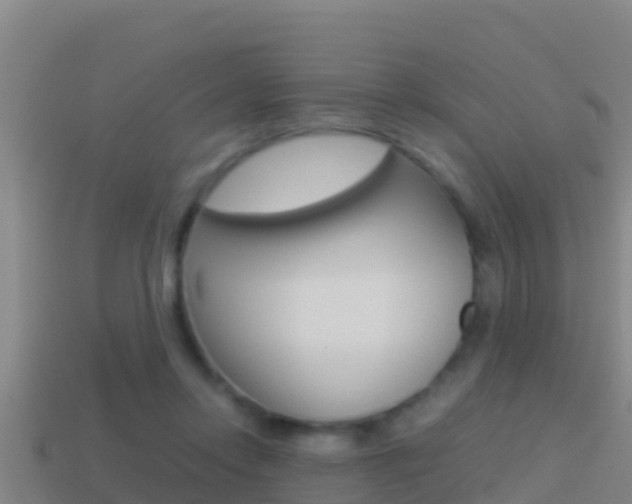 X0000114620358200910201006