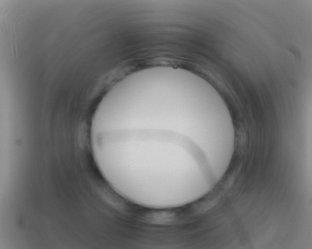 X0000114620361200910201006