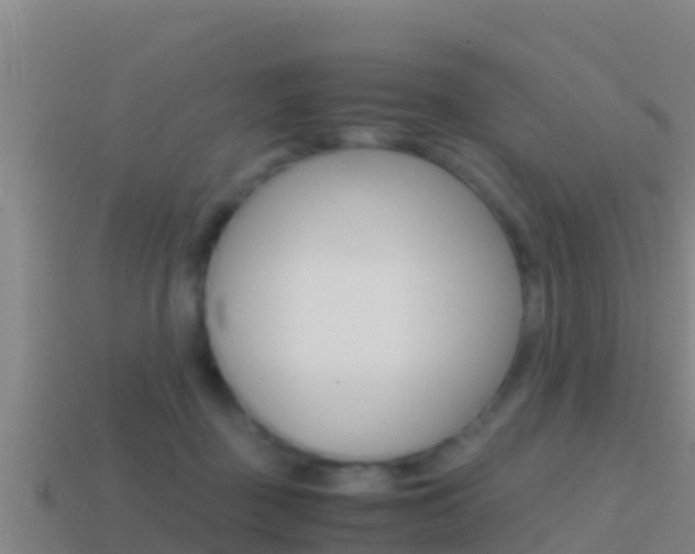 X0000114620363200910201006