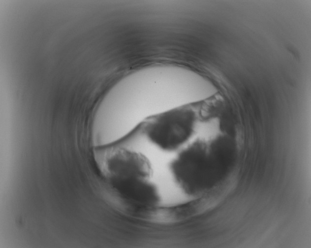 X0000114620365200910201006
