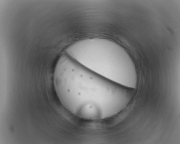 X0000114620366200910201006