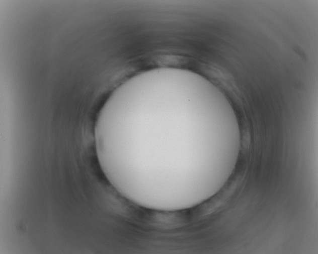X0000114620367200910201006