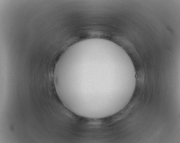 X0000114620369200910201006