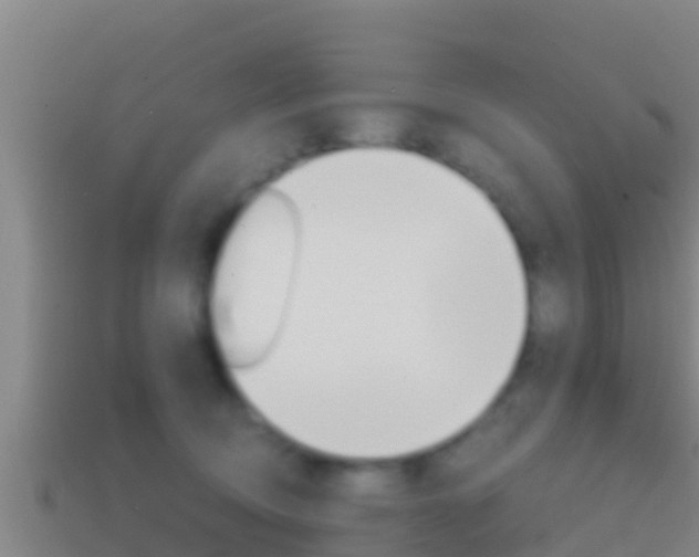 X0000114620370200910201006
