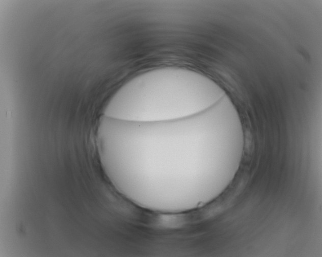 X0000114620371200910201006