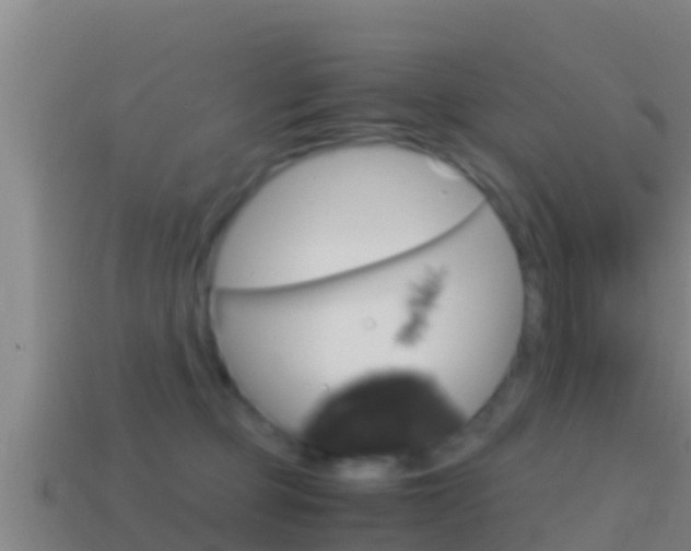 X0000114620373200910201006