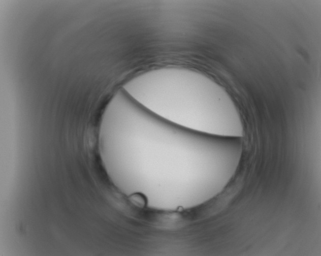 X0000114620374200910201006