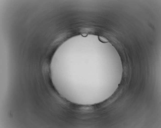X0000114620375200910201006