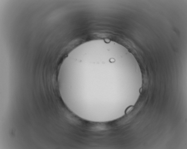 X0000114620377200910201006
