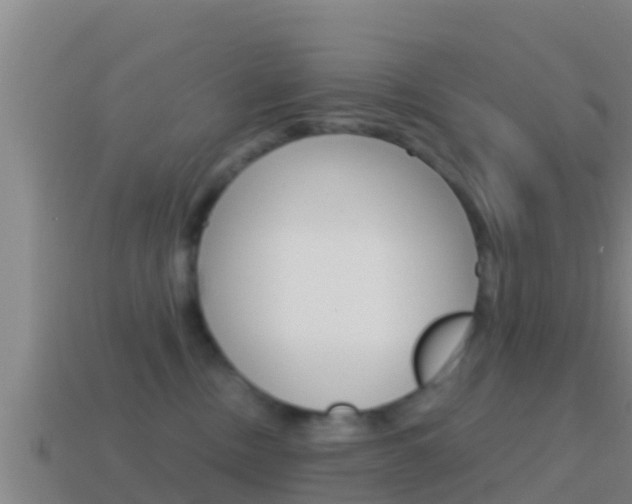 X0000114620378200910201006