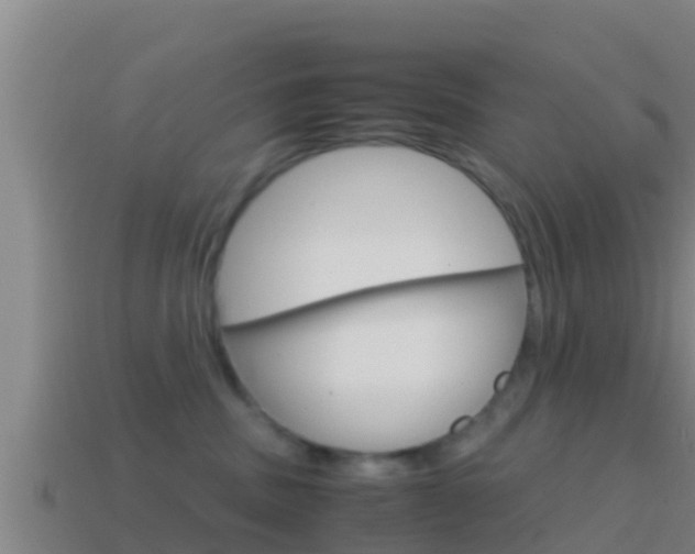 X0000114620379200910201006