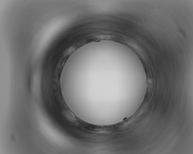 X0000114620381200910201006