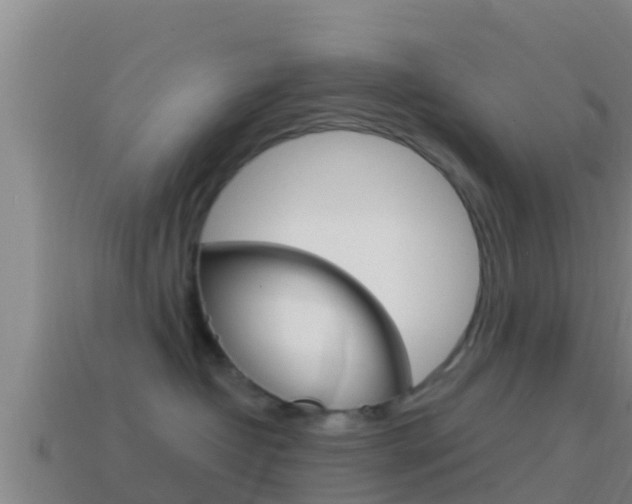 X0000114620382200910201006