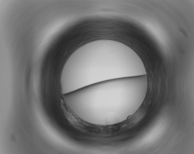 X0000114620383200910201006