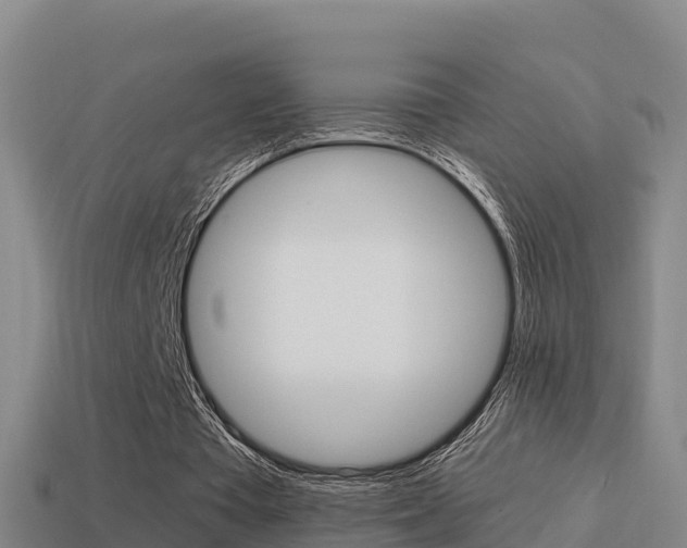 X0000114620385200910201006