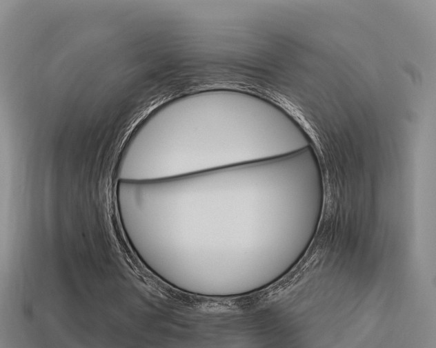 X0000114620386200910201006