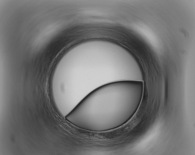 X0000114620387200910201006