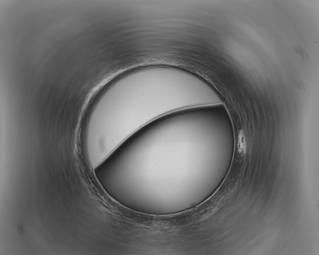X0000114620388200910201006