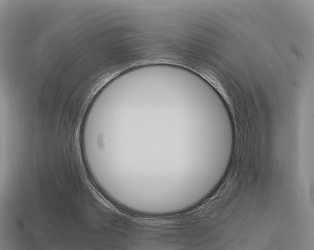 X0000114620389200910201006
