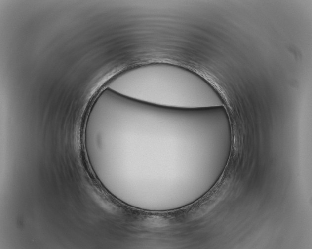 X0000114620390200910201006