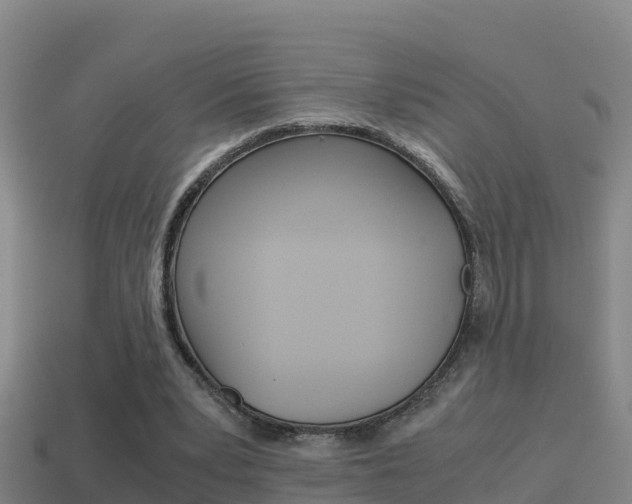 X0000114620391200910201006