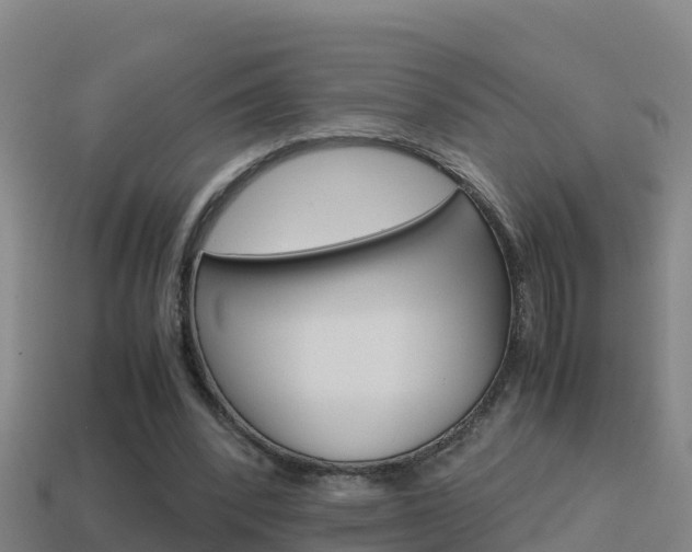 X0000114620392200910201006