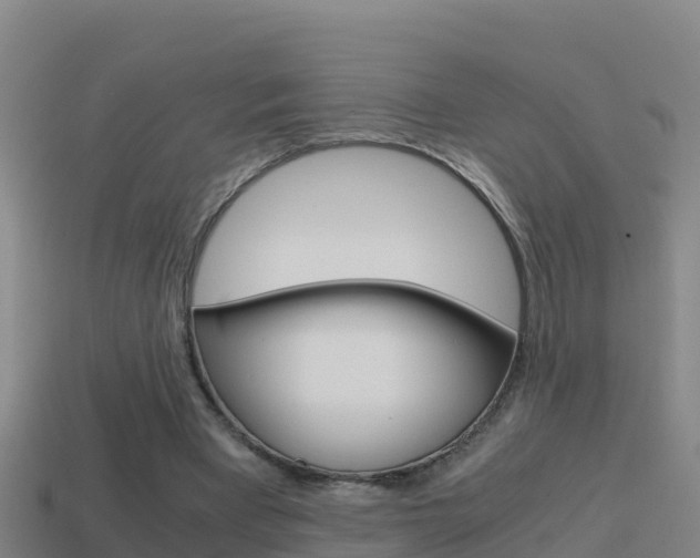 X0000114620393200910201006