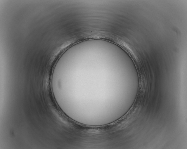 X0000114620394200910201006