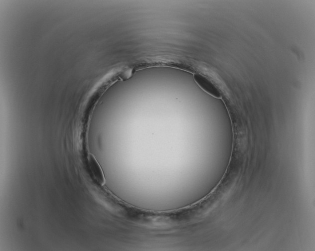 X0000114620395200910201006